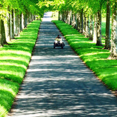 Beech Tree Avenue,  Moor Crichel, Dorset