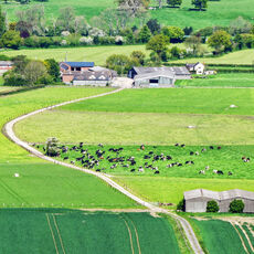 View between Tollard Royal and Cann Common on B3081 near Shaftesbury