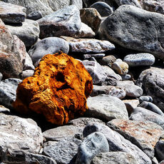 Odd Man Out (Tight Crop)