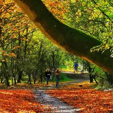 Spiceball Park Walkers