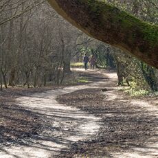 Walkers, Spiceball Park
