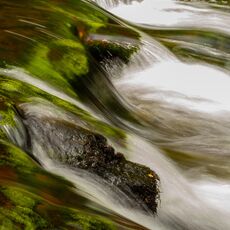Watersmeet