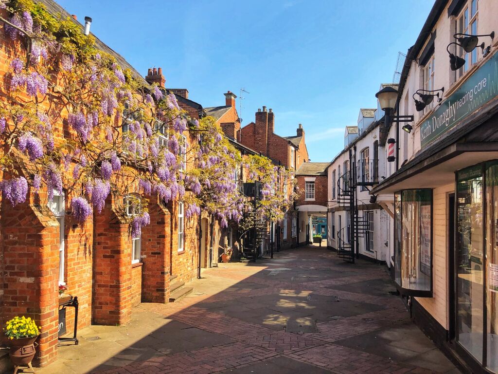 Wisteria, White Lion Walk Banbury.