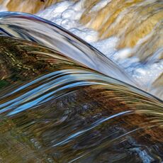 Escape From The Canal