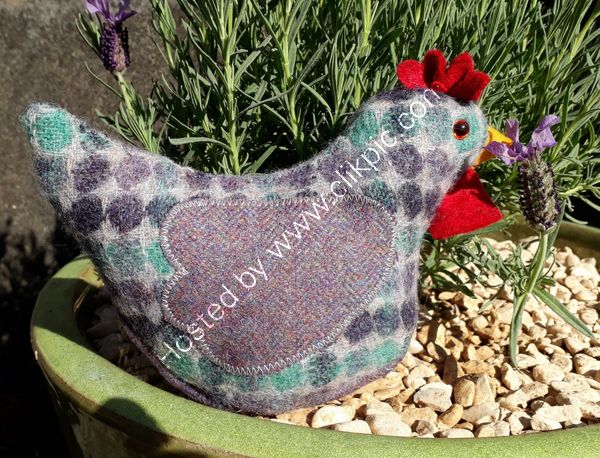 Lavender chicken
