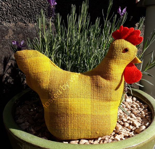 Large chicken