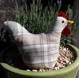Large chicken