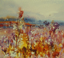 'Across the bay'