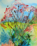 'Bloomin' summer'