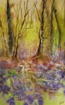 'Bluebell Fantasy'