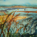 'Burnham Overy Staithe- Afloat'
