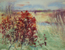 'Burnham reeds