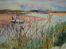 'Coastal Grasses'