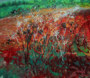 'Cow Parsley Profusion'