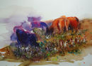 Cows in clover 2