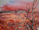 'Evening Sky At Snape'