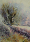 'Frosty Morning'