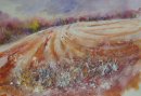 Furrowed Field