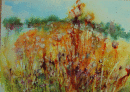 'Haymeadow'