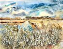 'Minsmere Reeds'