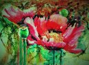 'Opium Poppy Revisited'