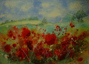 'Poppy Fest'