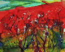 'Poppy Burst 2'