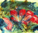 'Red Rose chaos'