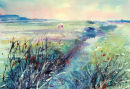 'Salthouse Views'