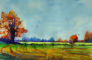 Stradbroke Alight 2