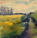 'Suffolk Gold 3'