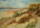 'Summer Grasses'