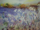 'summer Sheep'