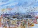Walberswick Distant beach huts