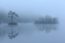 Eiland in de mist