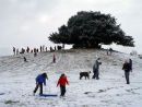 Sledging