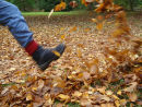 Kicking leaves