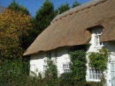 Thatched cottage