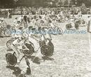 Fancy Bicycles C H Toms