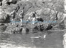 The Swimming Pool at Bon Repos 1930 CH Toms ph