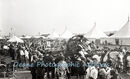 At the Battle of Flowers Port Soif CH Toms ph