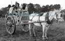 Going to Market in the Old Time Manner CH Toms ph