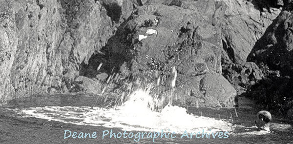 Old Adonis falls in zoom