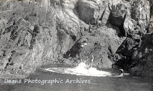 Old Adonis falls in