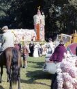 Battle of Flowers 1962