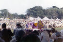 Battle of Flowers 1962