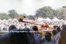 Battle of Flowers 1962