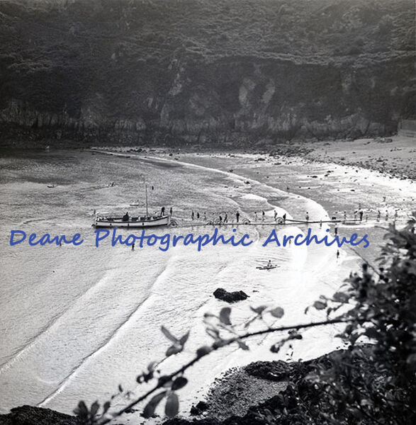Fermain Early 60s