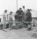 Mystery On Bird Island-13a