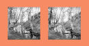 Cross Eyed Viewing
